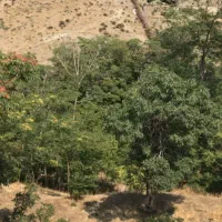 زمین مسکونی