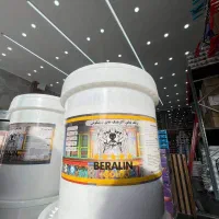 رنگ نما z90 عایق نیپون سیلیکونی مورسکو