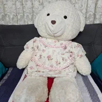 خرس شاسخین بزرگ، تمیز و سالم، قیمت مناسب