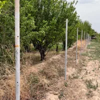 فروش-باغ-در-روستای-امیرآباد-محلات