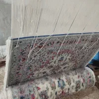 قالی دستباف|فرش|کرمان, |دیوار