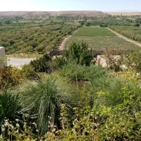 سوییت لاکچری اجاره ای|اجارهٔ کوتاه‌مدت آپارتمان و سوئیت|قوچان, |دیوار