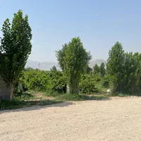 باغچه محصور اب برق احمداباددریس کازرون|فروش دفتر صنعتی، کشاورزی، تجاری|کازرون, |دیوار