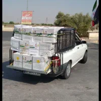 وانت بار باقیمت منصفانه(همراه باکارگر درصورت نیاز)|خدمات حمل و نقل|اهواز, بنکداری|دیوار