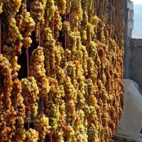 کشمش اشغاردرجه یک|خوردنی و آشامیدنی|شیروان (خراسان), |دیوار