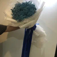 دسته گل ژیپسوفیلیا زیبا و ماندگار|گل و گیاه طبیعی|شیراز, قدوسی شرقی|دیوار
