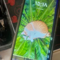 گوشی موبایل 12c تمیز کمترین قیمت لنگم