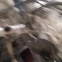 فروش یک ماشین تصادفی|خودرو سواری و وانت|یزد, |دیوار