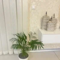 بانکه دکوری، جار|ظروف نگهدارنده، پلاستیکی، یک‌بارمصرف|اهواز, پادادشهر|دیوار