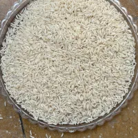 برنج هاشمی گیلان