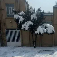 اجاره ویلایی مدنی