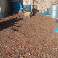 پوست بادام خشک شده|لوازم جانبی حیوانات|نورآباد ممسنی, |دیوار