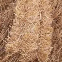 پرس گندم