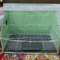 قفس جفتگاه بزرگ