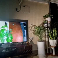 دوربین مداربسته|دوربین مداربسته|اندیمشک, |دیوار