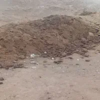 فروش انبار گوسفندی و حمل بار تیموری|خدمات حمل و نقل|خواف, |دیوار