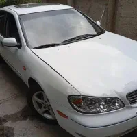 ماکسیما سفید خوش رخ