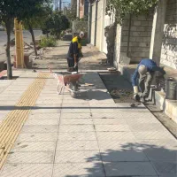 نیاز به نیروی موزاییککار حرفهای (پروژه فعال)|استخدام معماری، عمران و ساختمانی|خان ببین, |دیوار