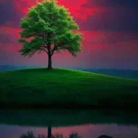 آموزش  دروس ابتدایی ریاضی وفارسی