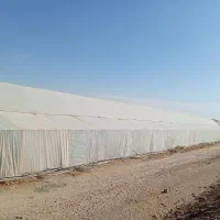 کارگر گلخانه