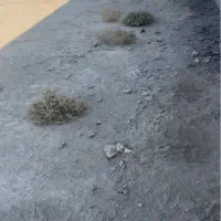 زمین ۲۵۰ متری زیباشهر خیابان اسپندار