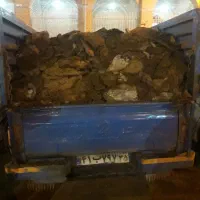 کود حیوانی|خدمات باغبانی و درختکاری|اسکو, |دیوار