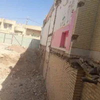 پیکور کاری وشیارزنی وکرگیر