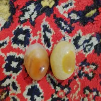 مهره برد سلیمانی