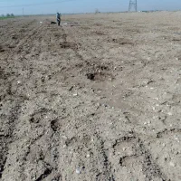 فروش زمین کشاورزی