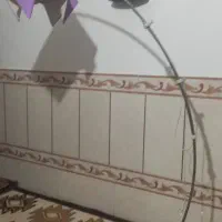 آباژور  سالم