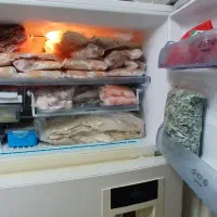 یخچال دونار