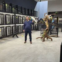 کاسکو ملنگو شاه طوطی لوری آمازون کاکادو آرا اقساطی