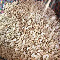بادام زمینی کره گیری