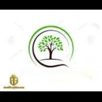 مرکز ترک اعتیاد