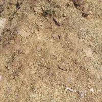 کود گوسفندی|گل و گیاه طبیعی|جیرفت, |دیوار