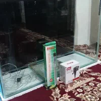 آکواریوم همراه وسایل