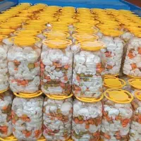 ترشیجات و شوریجات پلیزا|خوردنی و آشامیدنی|شیراز, حومه شیراز|دیوار