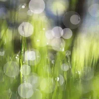 سرمایه آزاد برای سرمایه گزاری