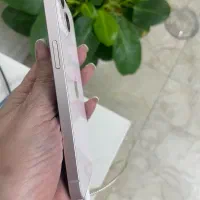 ۱۳ نرمال رزگلد