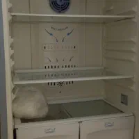 آدرس کرمانشاه شهرستان صحنه پارک شورا ظفر دو|یخچال و فریزر|صحنه, |دیوار