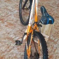 دوچرخه|دوچرخه، اسکیت، اسکوتر|قیدار, |دیوار