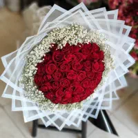 گل رز هلندی درجه یک|گل و گیاه طبیعی|قم, شهرک امام حسن|دیوار