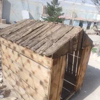 آغل سگ آقل سگ