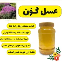 فروش ویژه عسل طبیعی عمده|خوردنی و آشامیدنی|تهران, دانشگاه شریف|دیوار