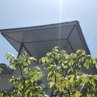 جوشکاری ودرب ساختمان وشیروانی باقیمت مناسب