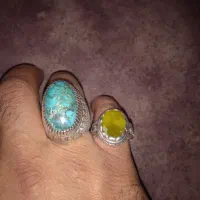 فیروزه شجر