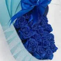 کریشی برای گل