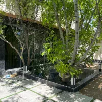 ویلاباغ-مدرن-محوطه-جنگلی-انشعاب-کامل