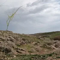 قطعات زمین سند ملکی رباط خاکستری حاشیه جاده اصلی|فروش دفتر صنعتی، کشاورزی، تجاری|مشهد, طرق|دیوار