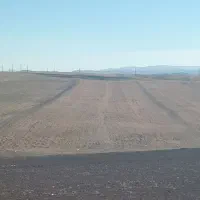 زمین شراکتی در روستای سید جعفر لو